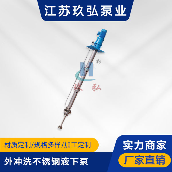 LY长轴外冲洗不锈钢液下泵(图1)