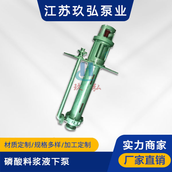 LJYA磷酸料浆液下泵(图1)