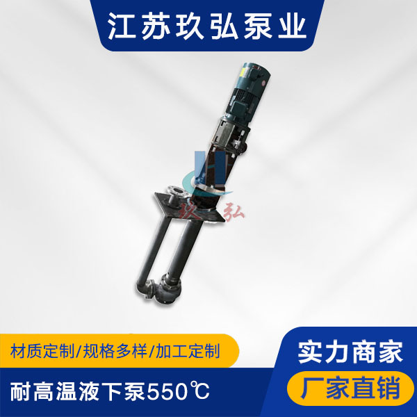 GFY耐高温液下泵550℃(图1)