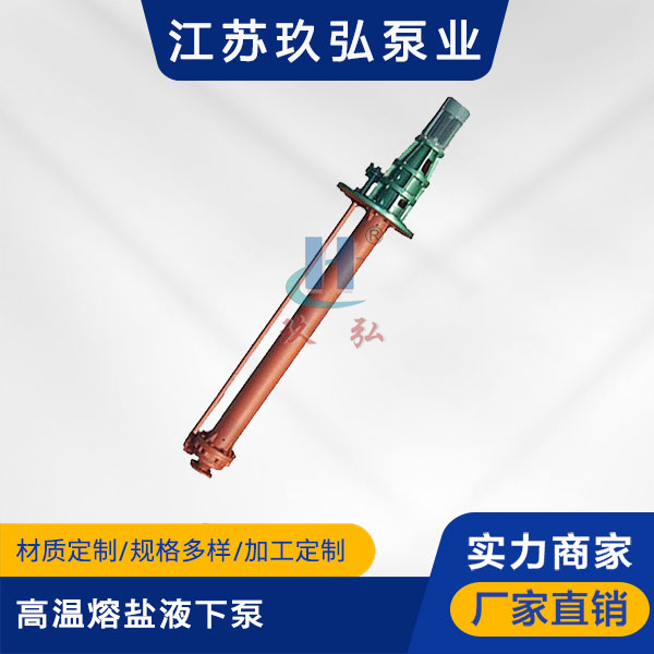 RY型高温熔盐液下泵(图1)