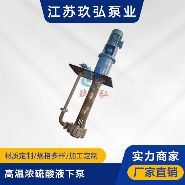 LSB高温浓硫酸液下泵(图1)