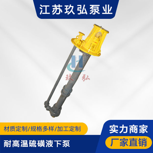 LHY耐高温硫磺液下泵(图1)