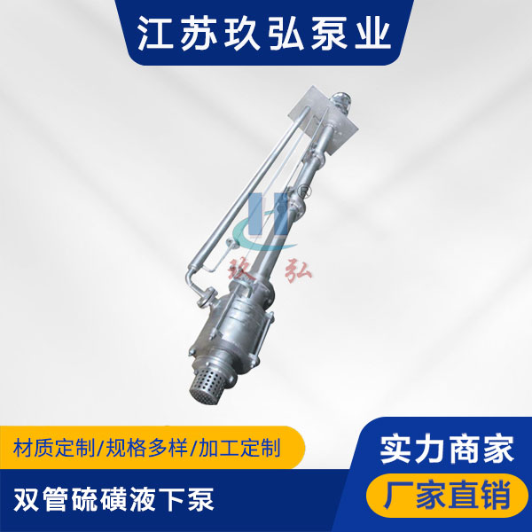 DLY双管硫磺液下泵(图1) DLY双管硫磺液下泵(图1)