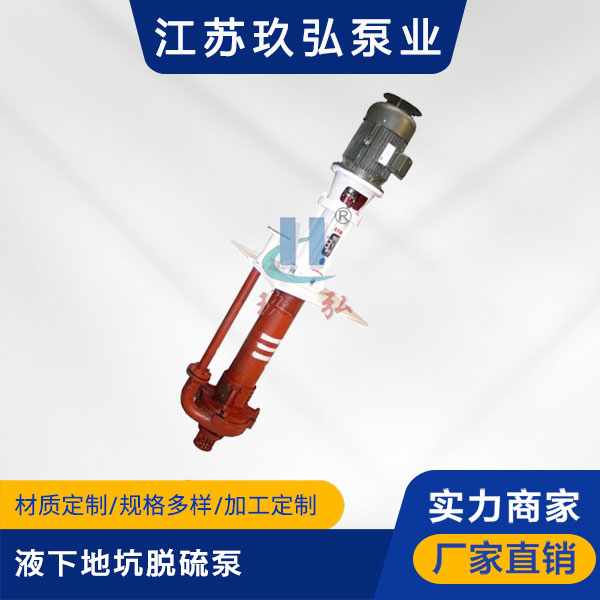 PLC液下地坑脱硫泵(图1) PLC液下地坑脱硫泵(图1)