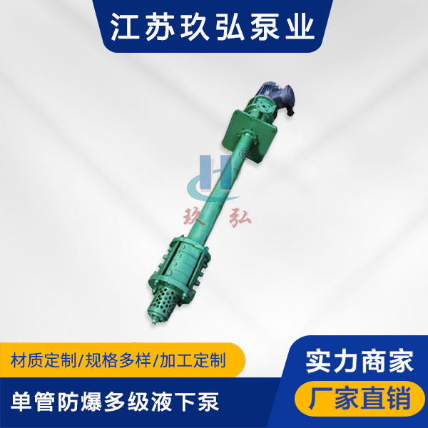 DLY单管防爆多级液下泵(图1)