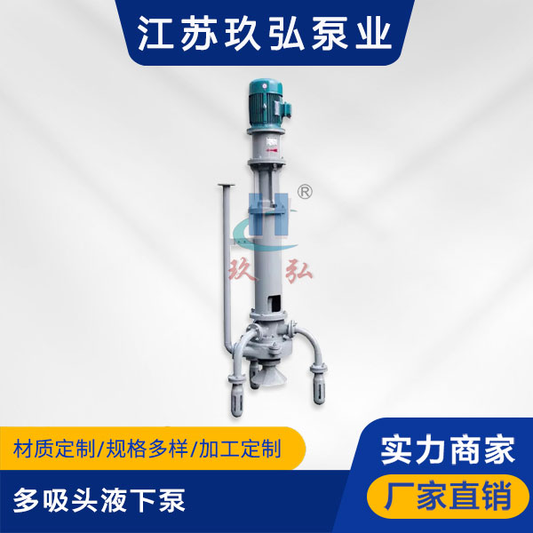 PW型多吸头液下泵(图1)