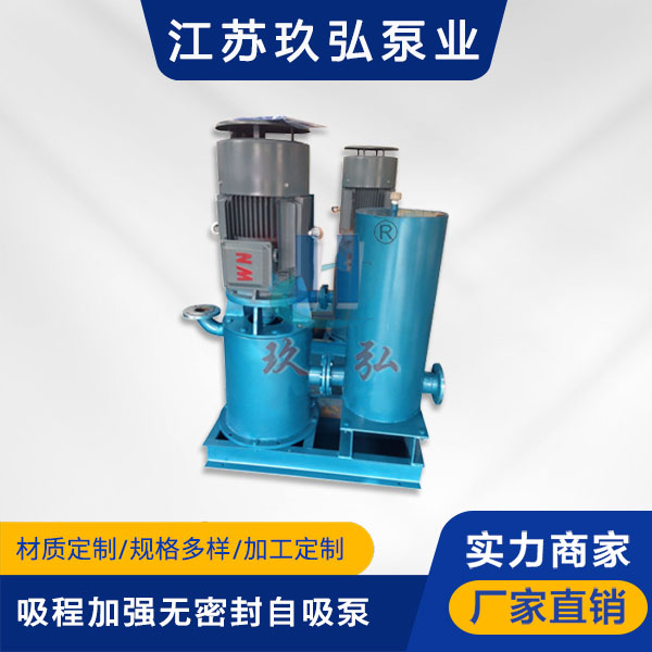 WFB吸程加强型自控自吸泵(图1)