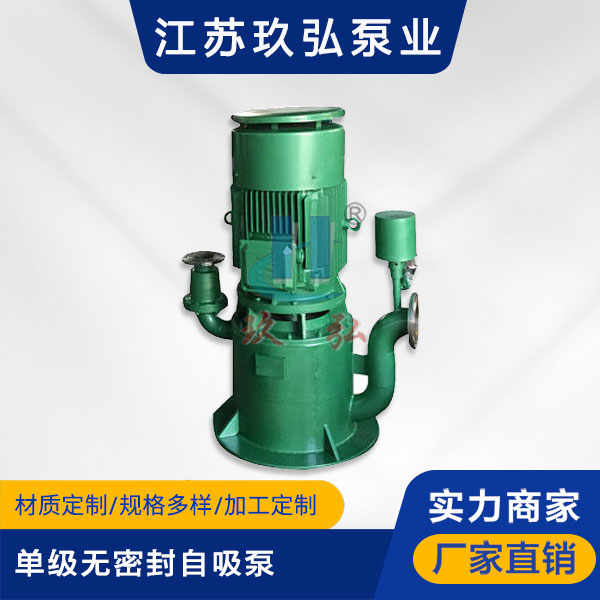 WFB单级无密封自控自吸泵(图1)