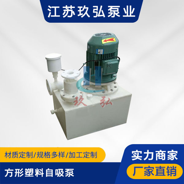 WFB方形塑料自吸泵(图1)