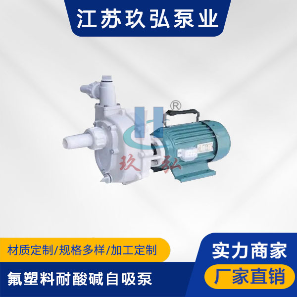 103手提式氟塑料耐酸碱自吸泵(图1)