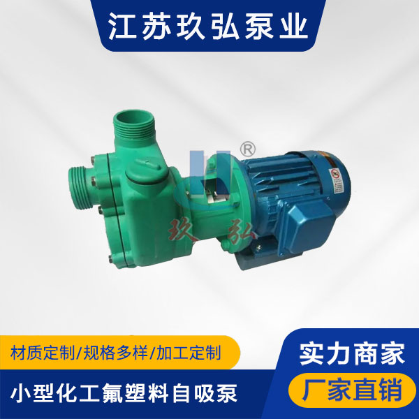 102小型化工氟塑料自吸泵(图1)