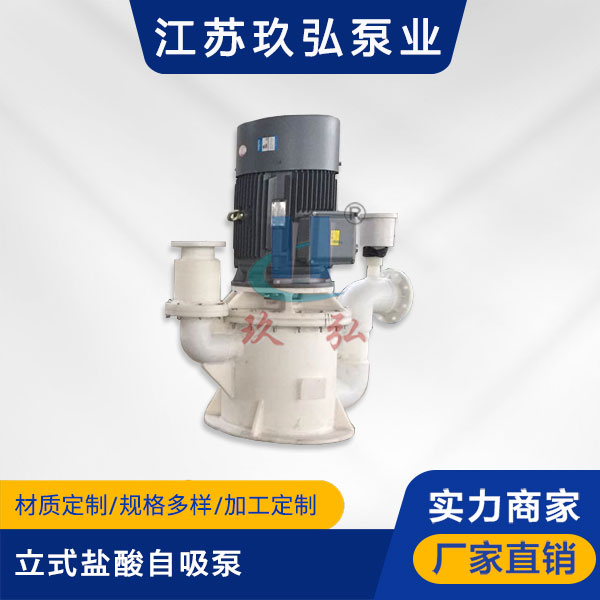 WFB立式盐酸自吸泵(图1) WFB立式盐酸自吸泵(图1)