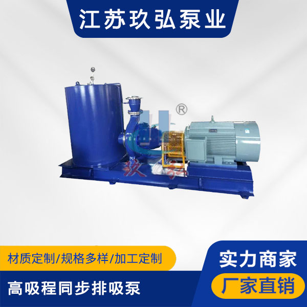 TBFB高吸程同步排吸泵(图1)