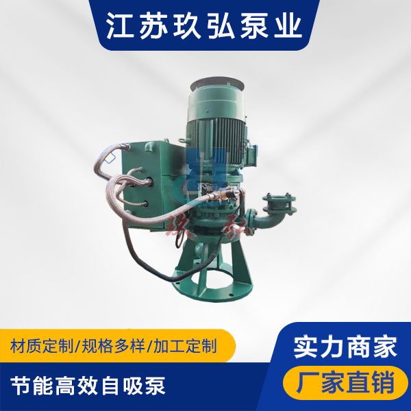 GLB节能高效自吸泵(图1) GLB节能高效自吸泵(图1)
