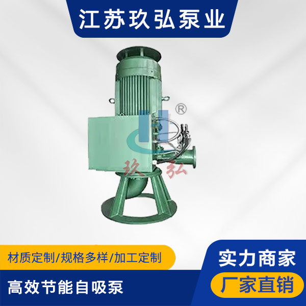 GLB高效节能自吸泵(图1)