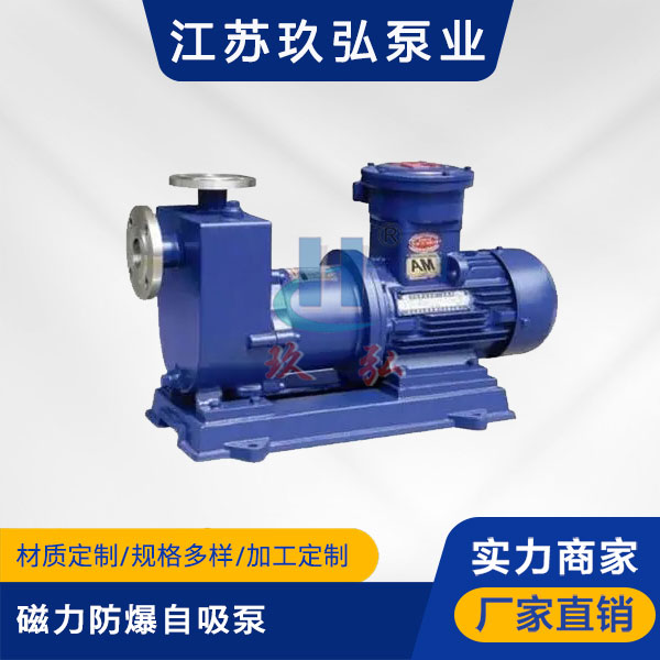 ZCQ磁力防爆自吸泵(图1)