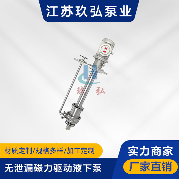 HYC无泄漏磁力驱动液下泵(图1)