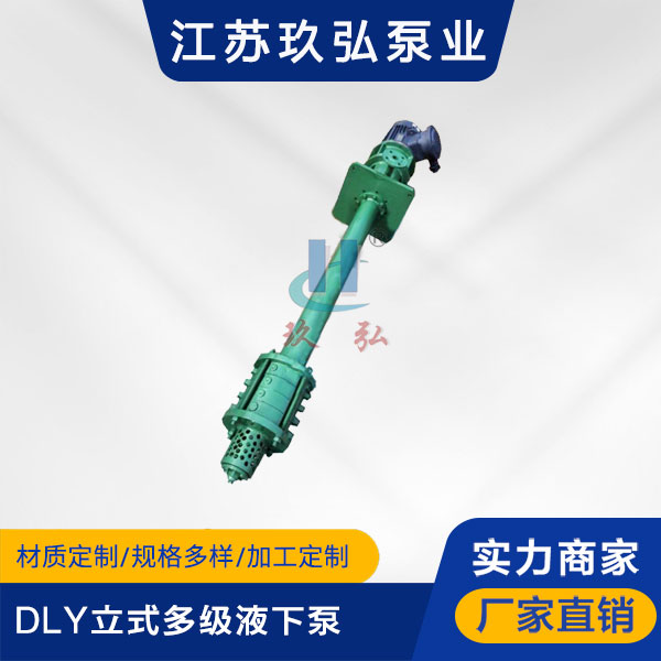 DLY立式多级液下泵(图1) DLY立式多级液下泵(图1)
