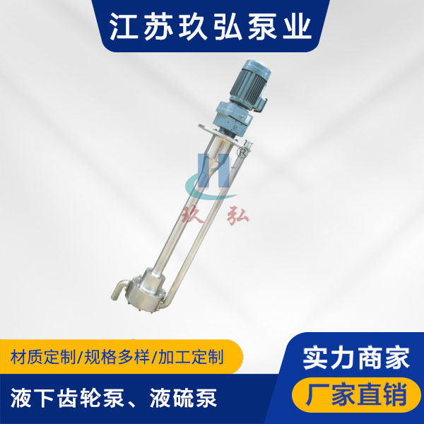 ATY液下齿轮泵、液硫泵(图1) ATY液下齿轮泵、液硫泵(图1)