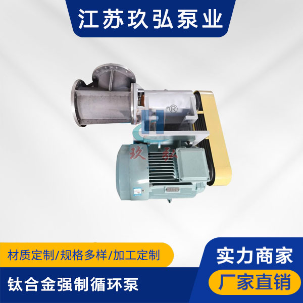 FJX-Ⅱ型钛合金强制循环泵(图1) FJX-Ⅱ型钛合金强制循环泵(图1)