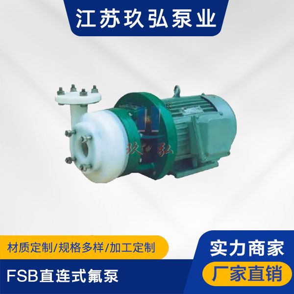 FSB直连式氟泵(图1) FSB直连式氟泵(图1)
