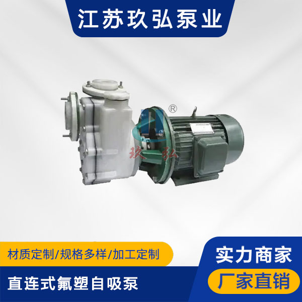 FZB-Ⅱ直连式氟塑自吸泵(图1) FZB-Ⅱ直连式氟塑自吸泵(图1)