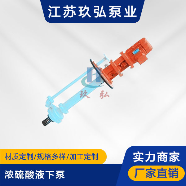 GBY浓硫酸液下泵(图1) GBY浓硫酸液下泵(图1)