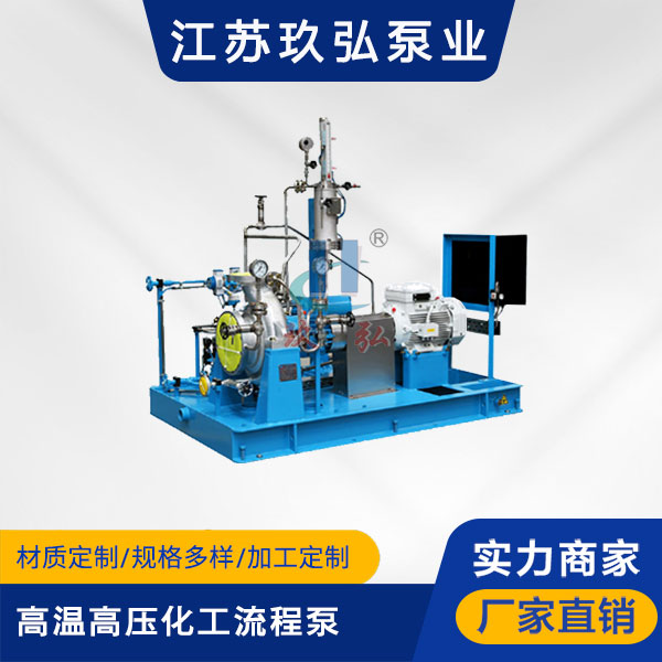 ZE高温高压石油化工流程泵(重型)(图1)