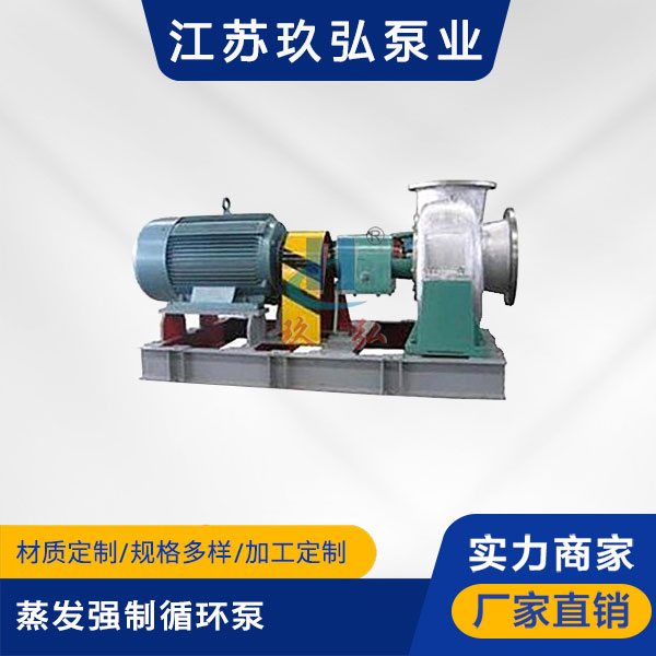 ECP混流式蒸发强制循环泵(图1)