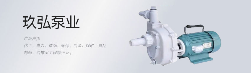 防爆自吸泵