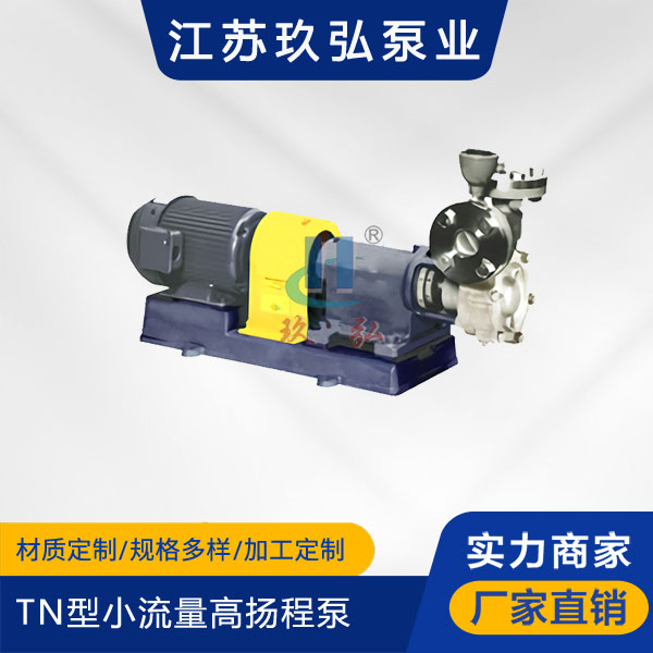 TN型小流量高扬程泵(图1)