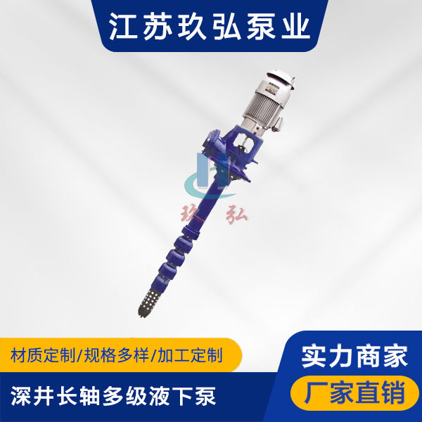 HLC深井长轴多级液下泵(图1) HLC深井长轴多级液下泵(图1)